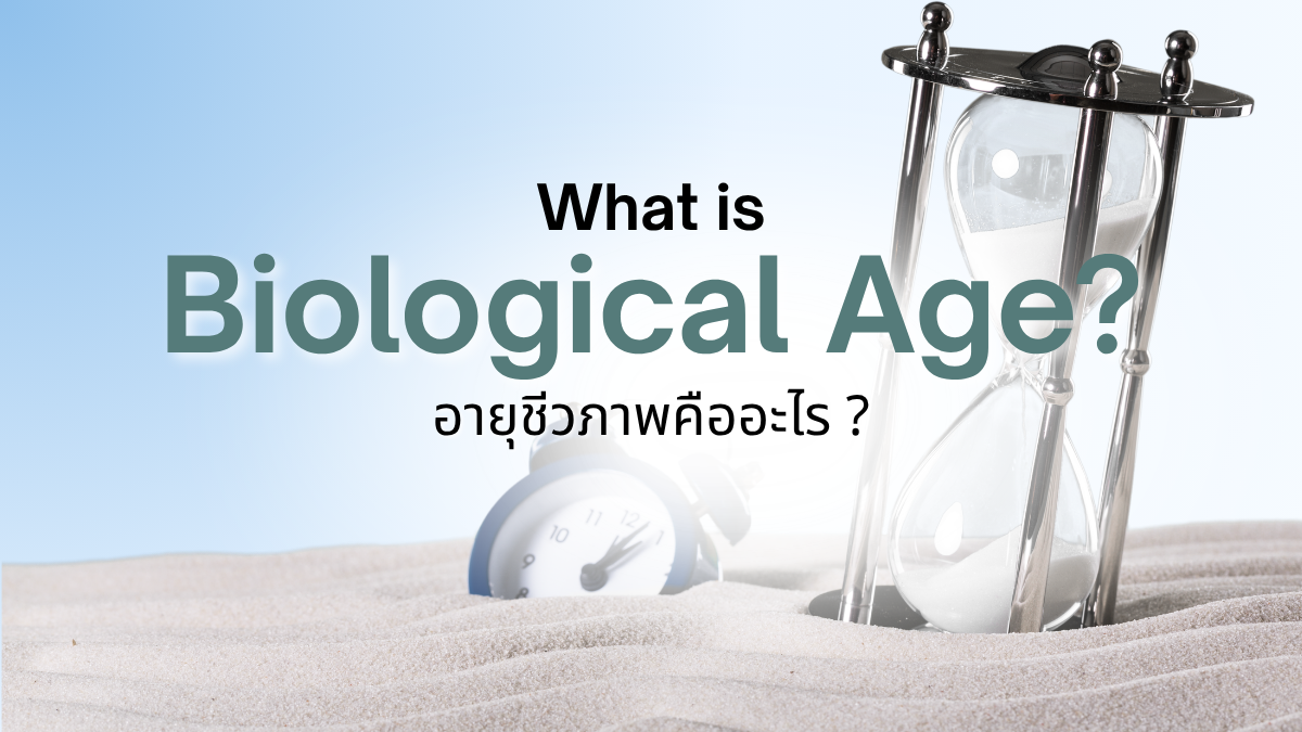 img_อายุชีวภาพ (Biological Age) คืออะไร วัดอย่างไร ชะลอได้จริงไหม | Genfosis