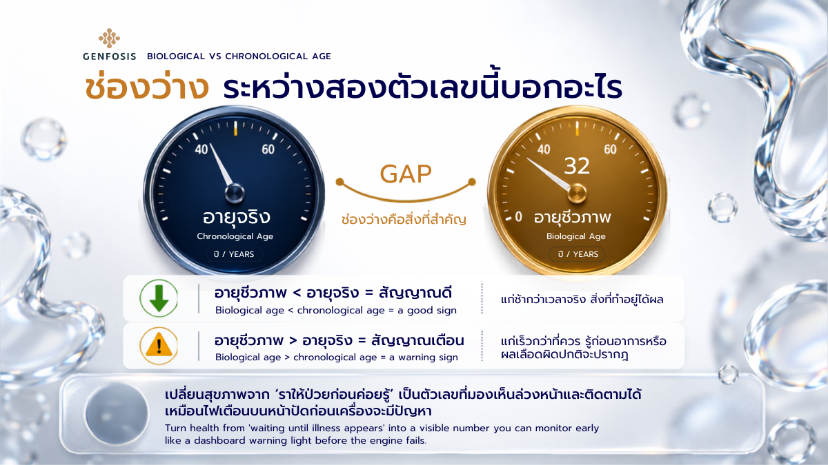 เปรียบเทียบอายุชีวภาพกับอายุตามปฏิทิน โดย Genfosis