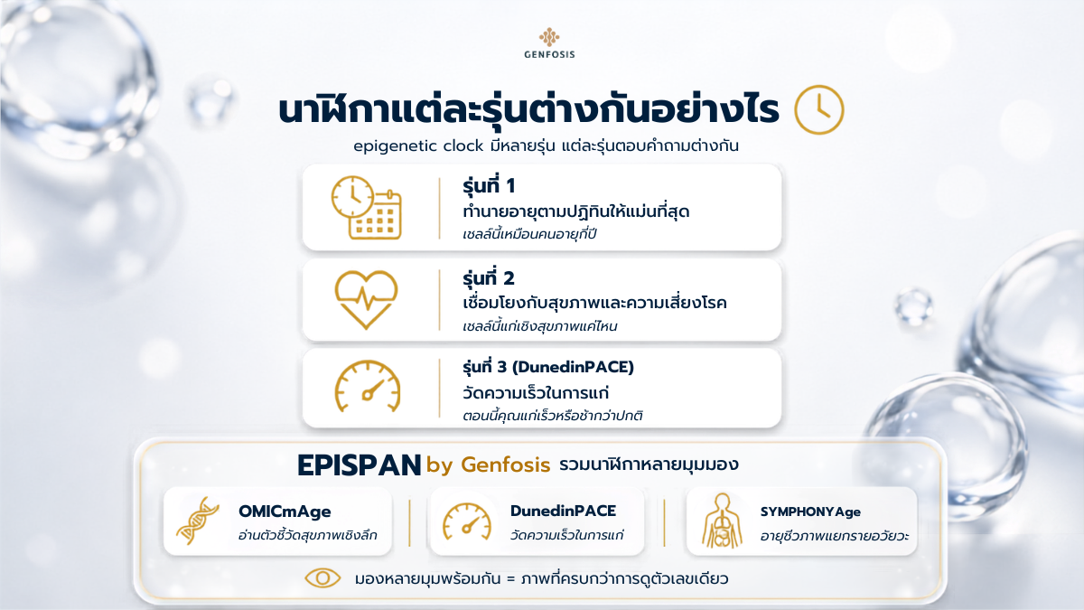 Epigenetic clock ภาษาไทย
