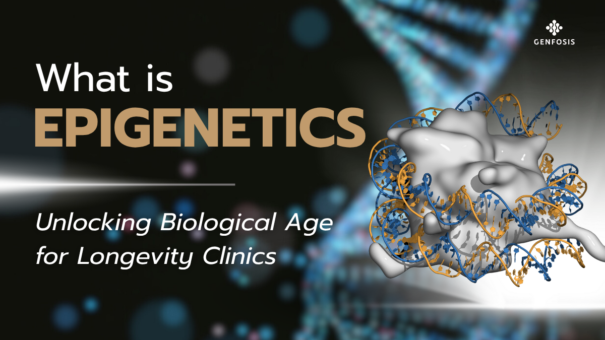 img_Epigenetic Test คืออะไร? เปิดโลกการวัดอายุชีวภาพสำหรับคลินิก	